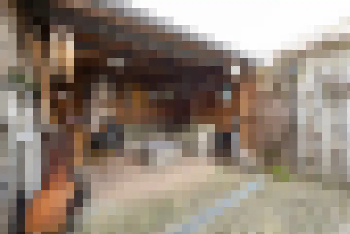 Darwinstraat 2 Haarlem thumbnail 24