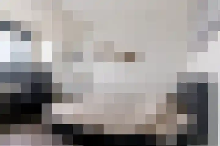 Darwinstraat 28 Arnhem thumbnail 17