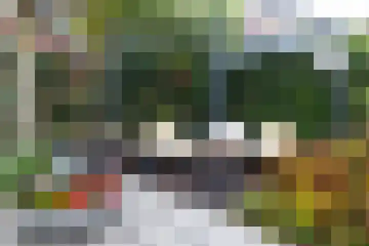 Darwinstraat 4 Enschede thumbnail 43