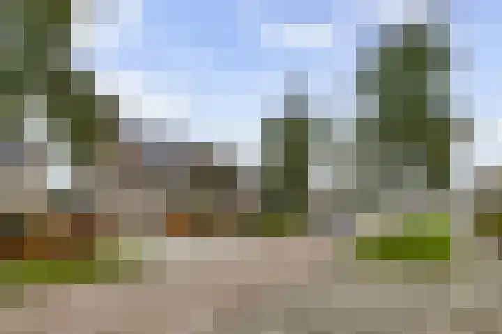 Darwinstraat 4 Enschede thumbnail 6
