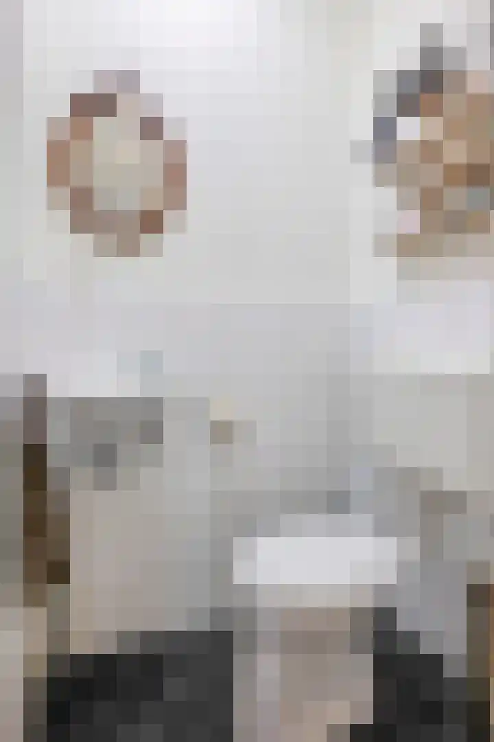 Darwinstraat 7 Sittard thumbnail 24