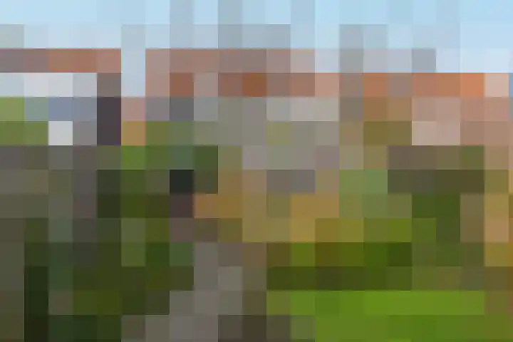 Darwinstraat 7 Sittard thumbnail 29