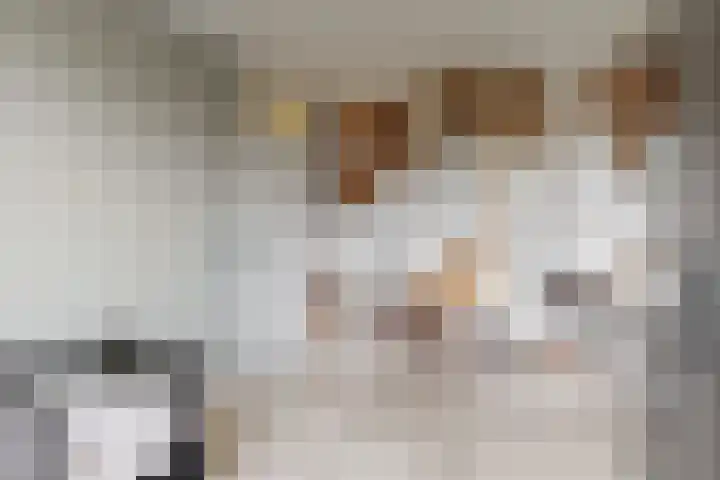 Darwinstraat 9 Kudelstaart thumbnail 17