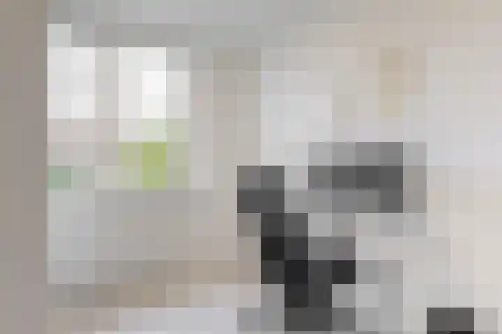 Darwinstraat 9 Kudelstaart thumbnail 18