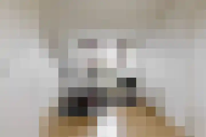 Darwinstraat 9 Kudelstaart thumbnail 19