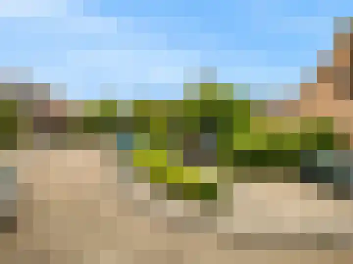 Darwinstraat 9 Kudelstaart thumbnail 32