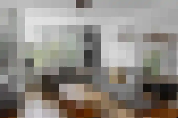 Darwinstraat 9 Kudelstaart thumbnail 4