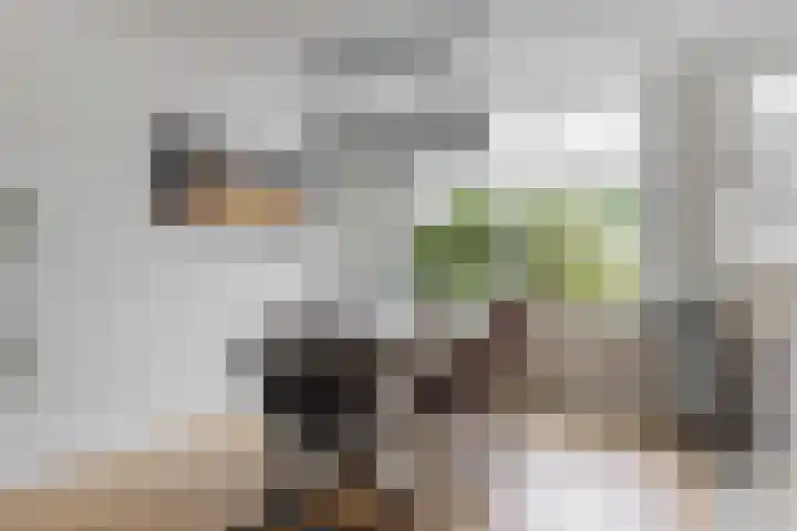 Darwinstraat 9 Kudelstaart thumbnail 5