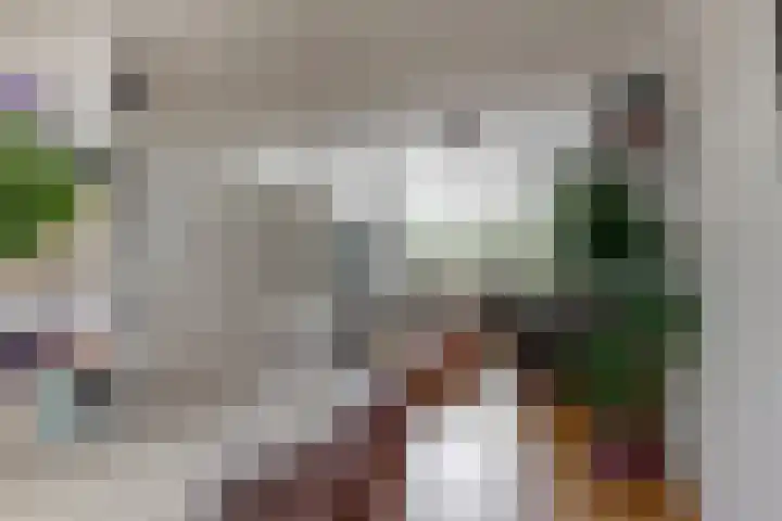 Darwinstraat 9 Kudelstaart thumbnail 6