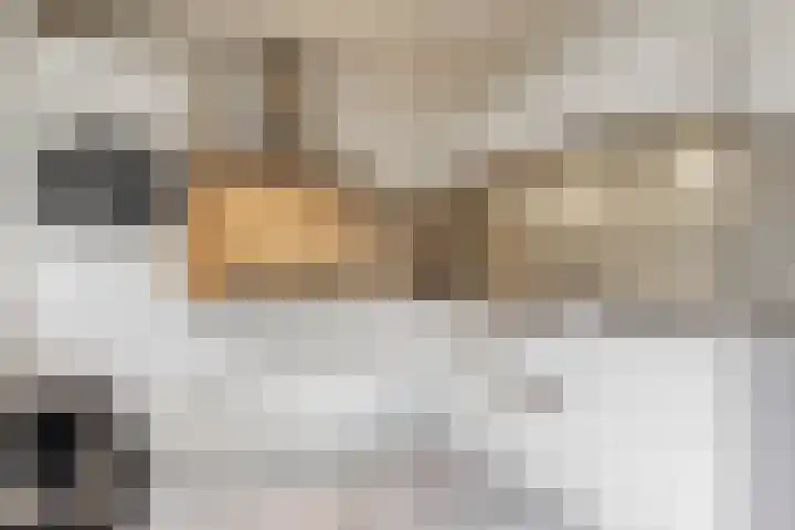 Darwinstraat 9 Kudelstaart thumbnail 7