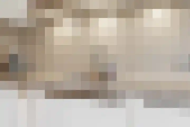 Darwinstraat 9 Kudelstaart thumbnail 8