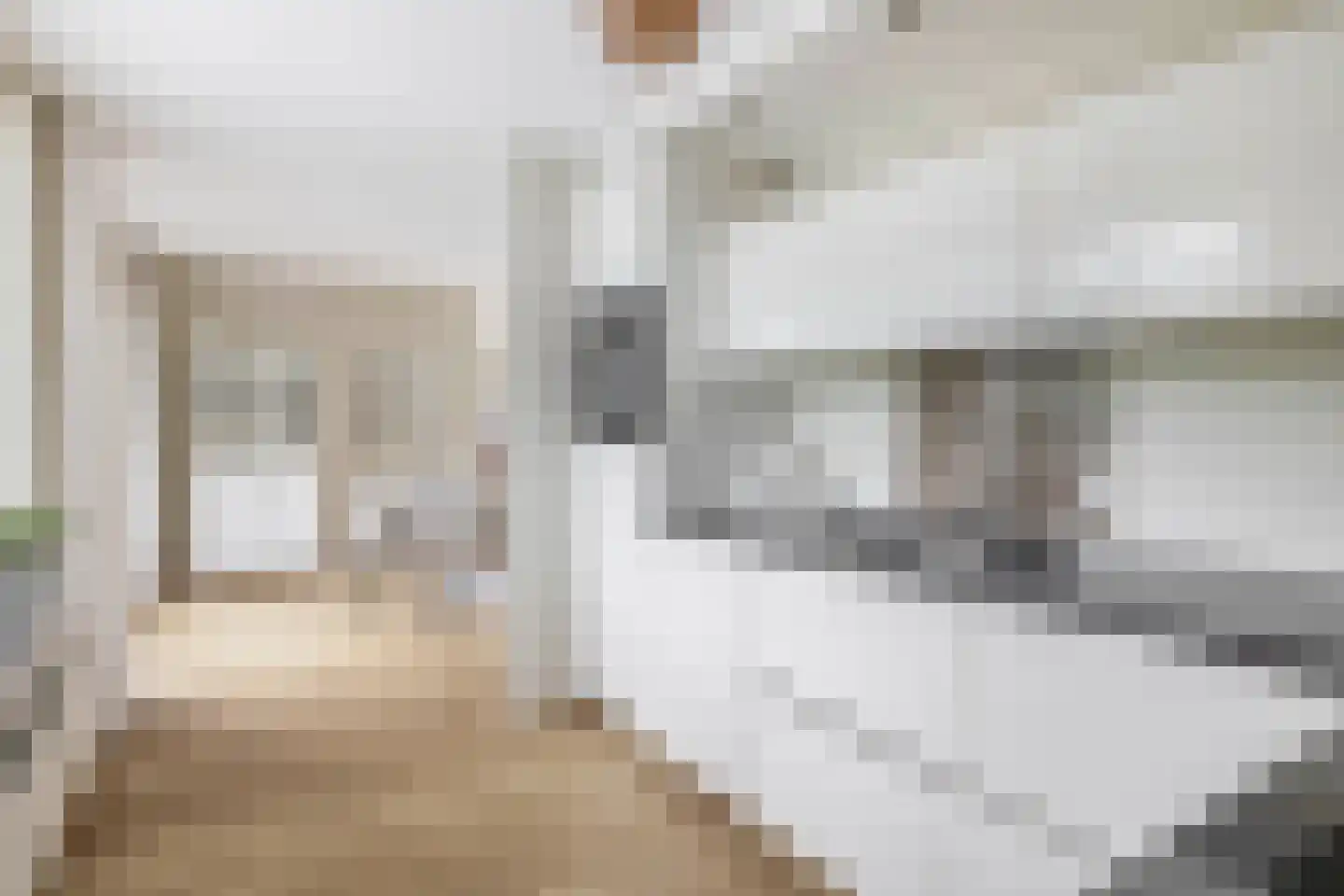 Das 1 Veldhoven thumbnail 18