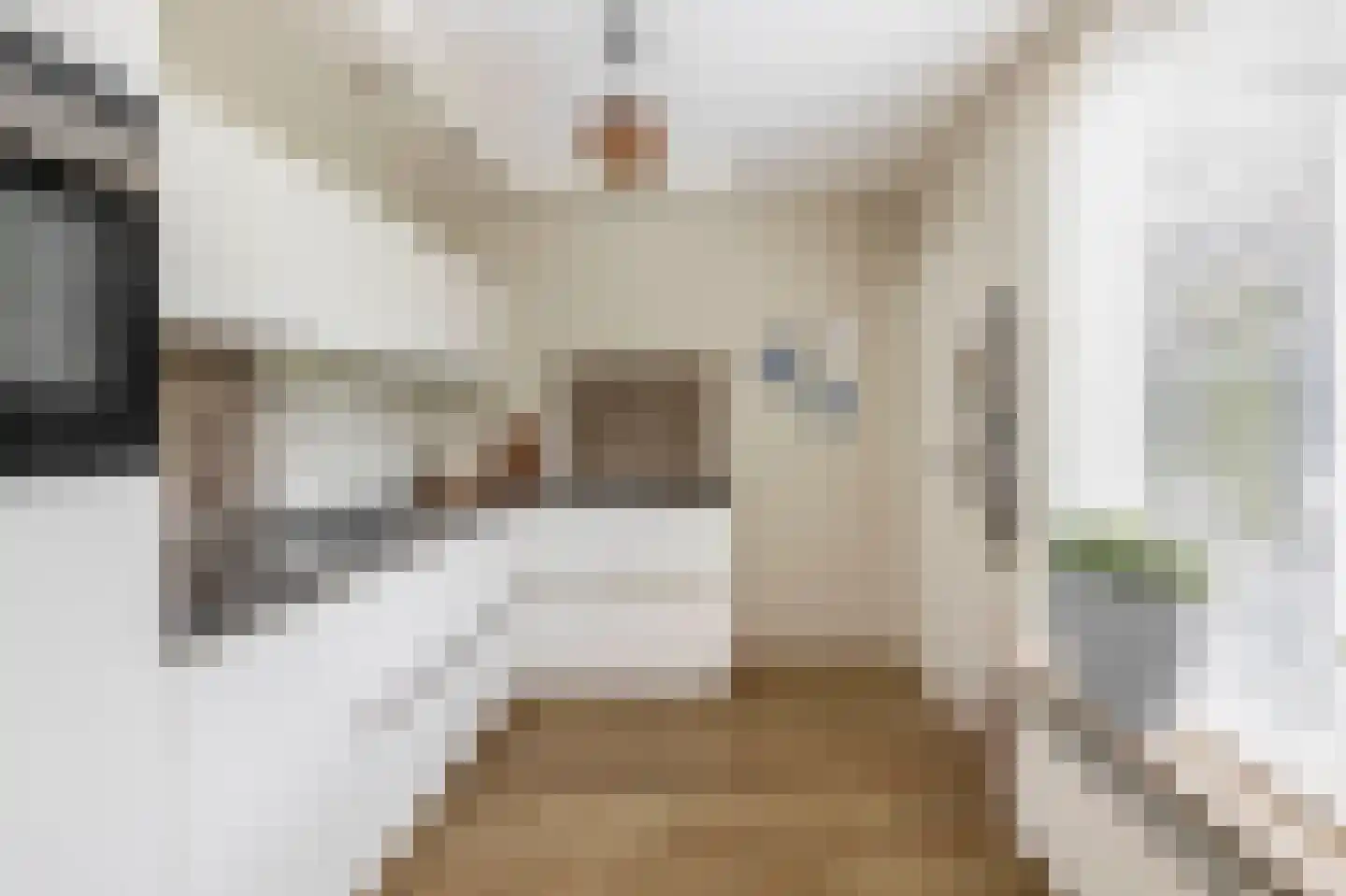 Das 1 Veldhoven thumbnail 19