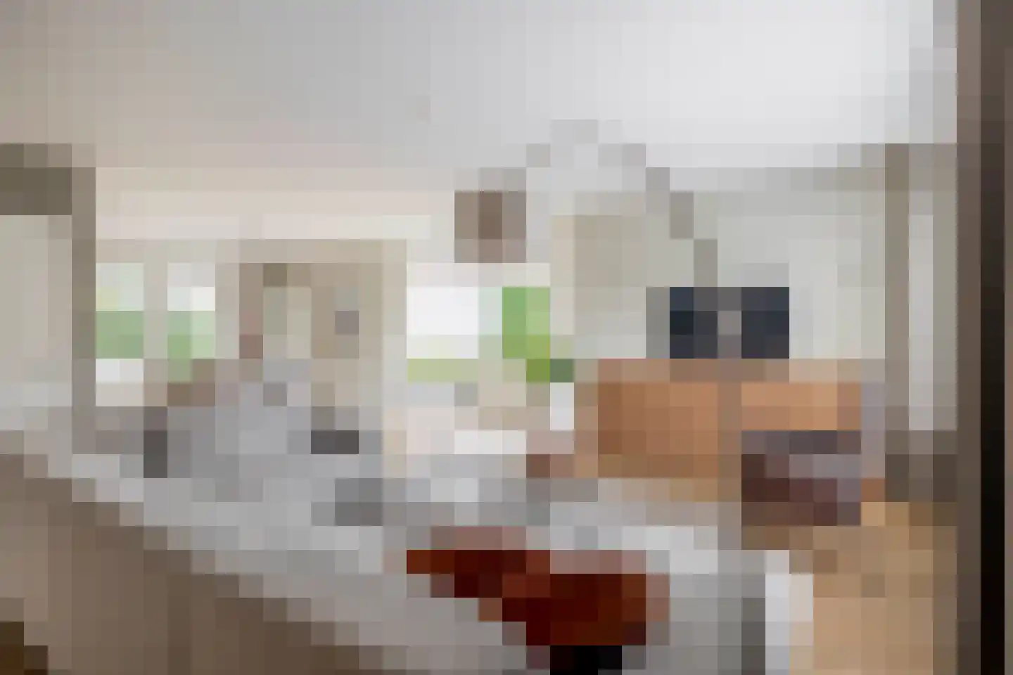 Das 1 Veldhoven foto 2