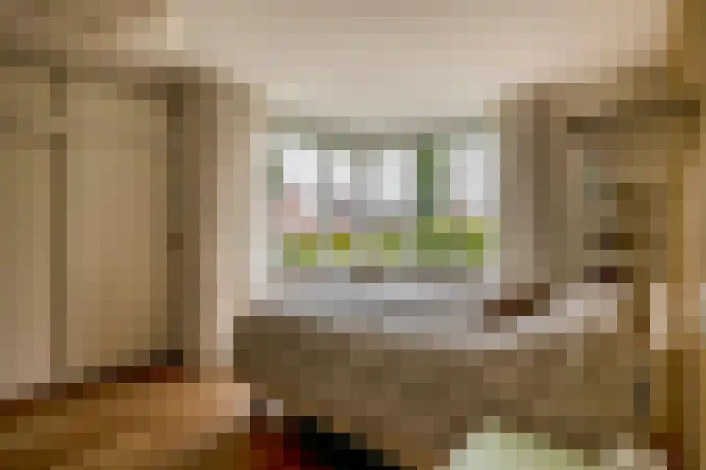 Das 1 Veldhoven thumbnail 24