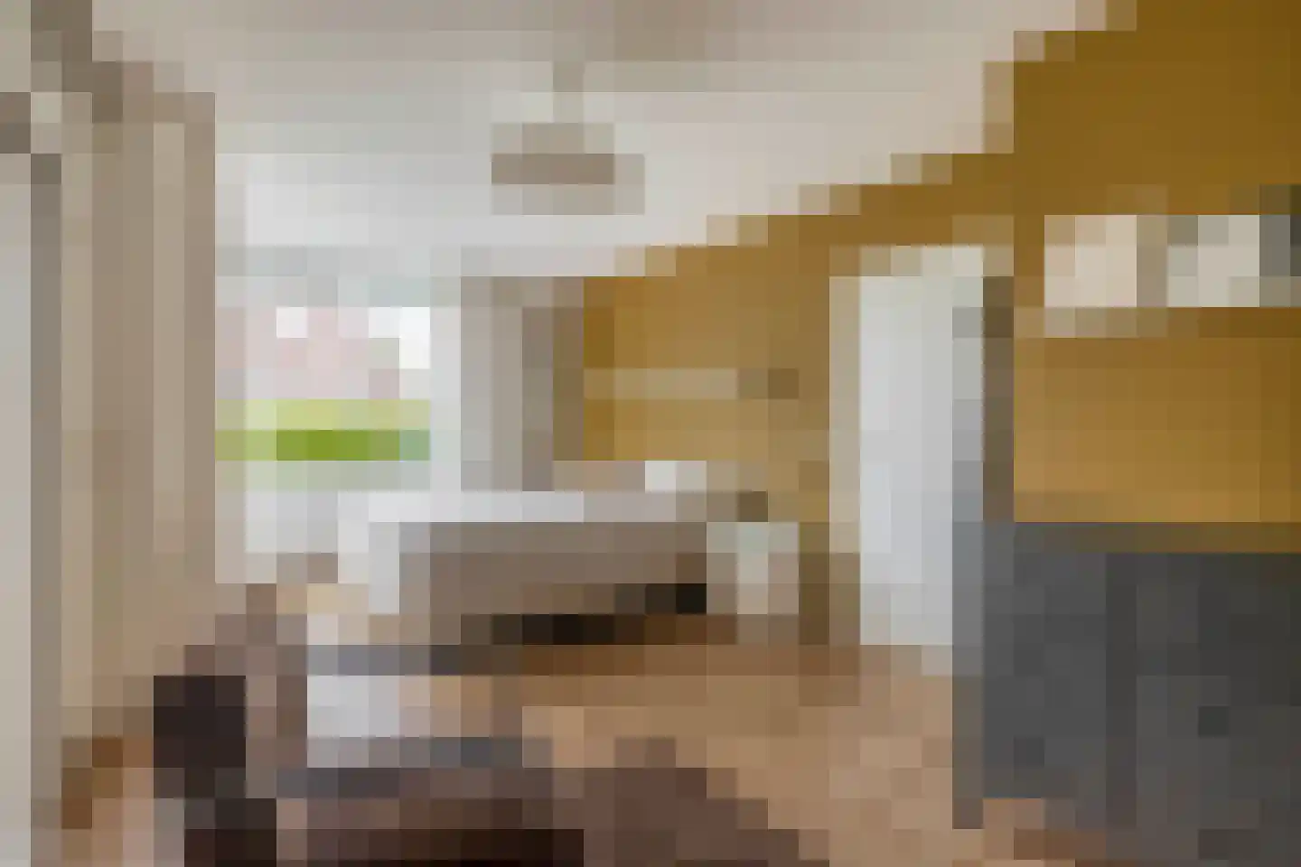 Das 1 Veldhoven thumbnail 25