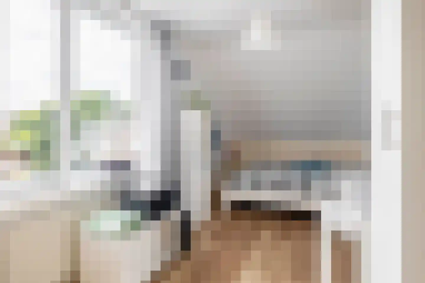 Das 1 Veldhoven thumbnail 26
