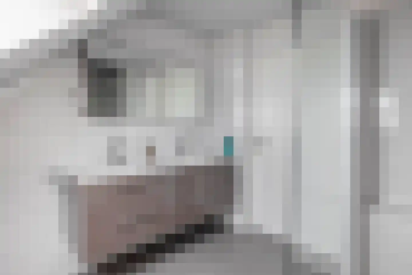 Das 1 Veldhoven thumbnail 30