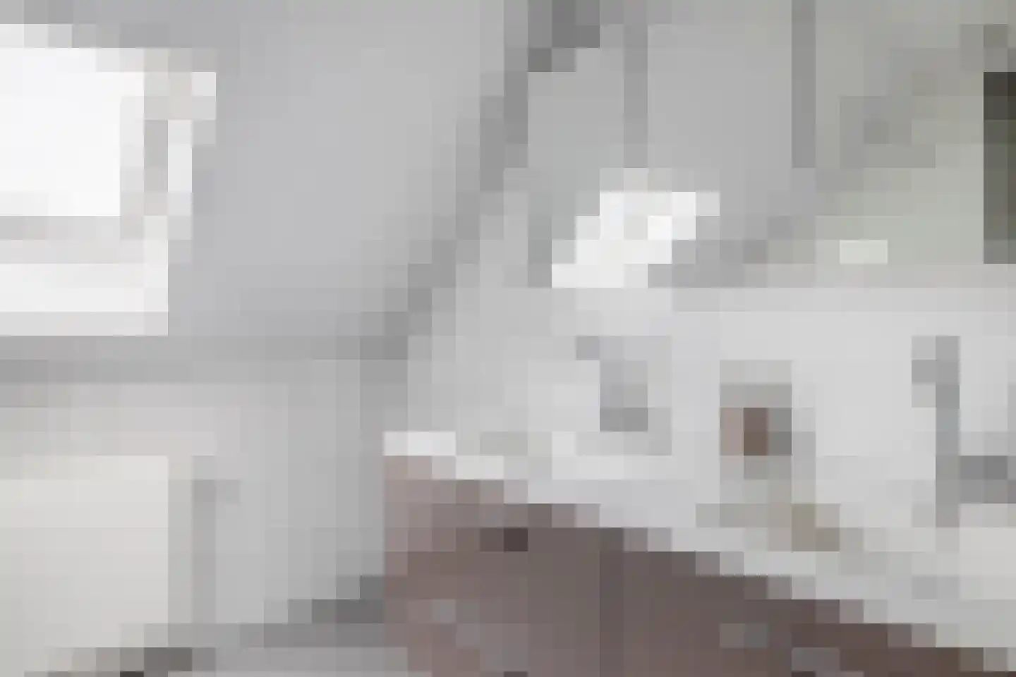 Das 1 Veldhoven thumbnail 31