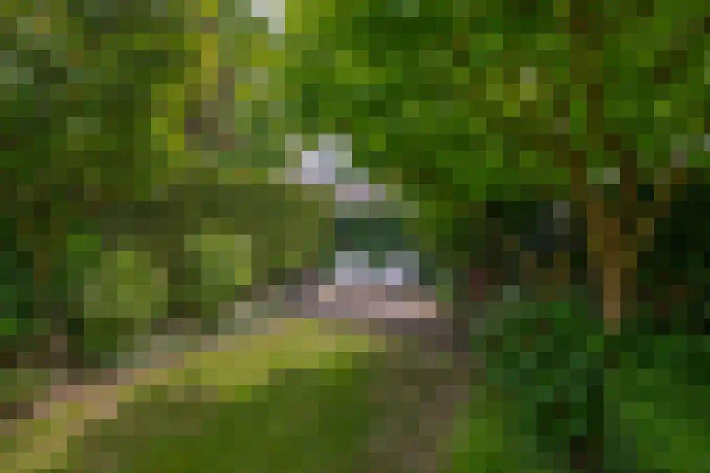 Das 1 Veldhoven thumbnail 35