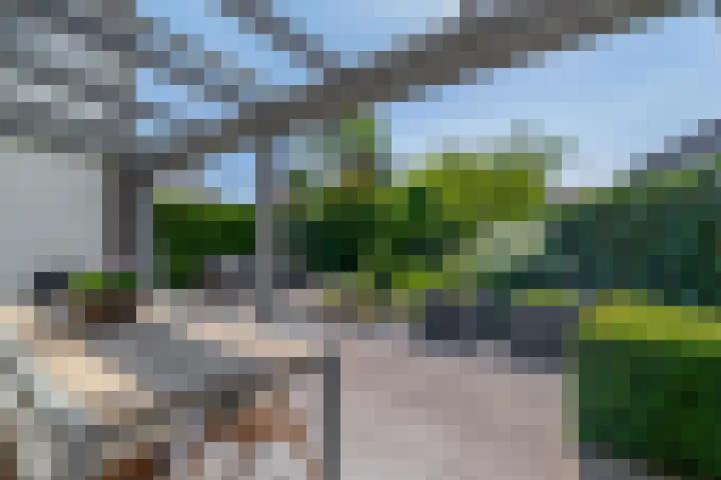 Das 1 Veldhoven thumbnail 38