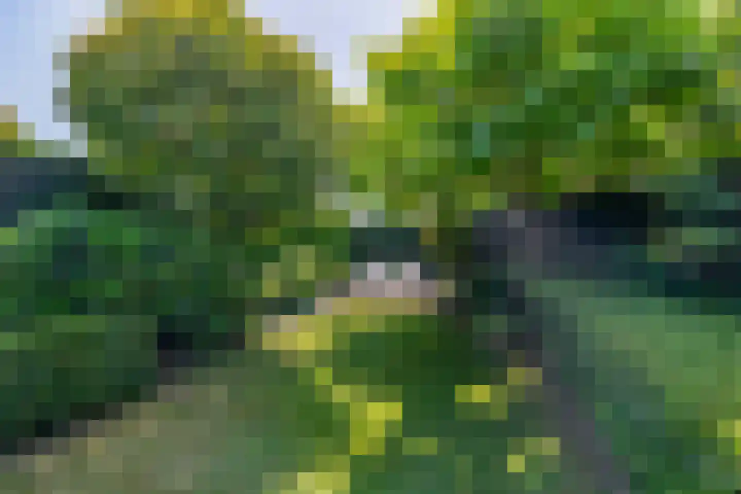 Das 1 Veldhoven thumbnail 40