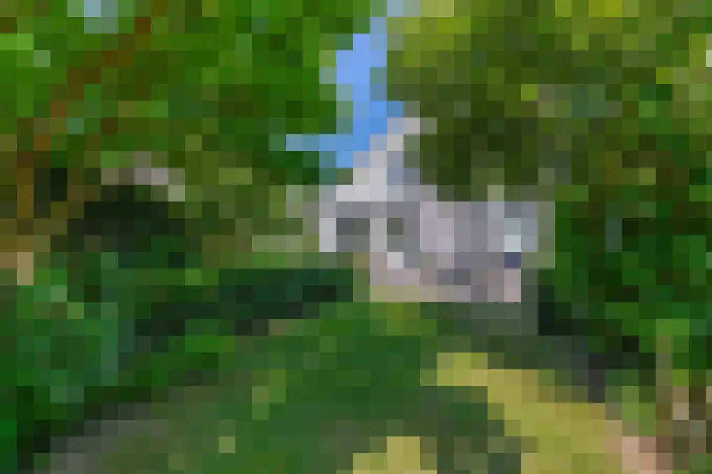 Das 1 Veldhoven thumbnail 41