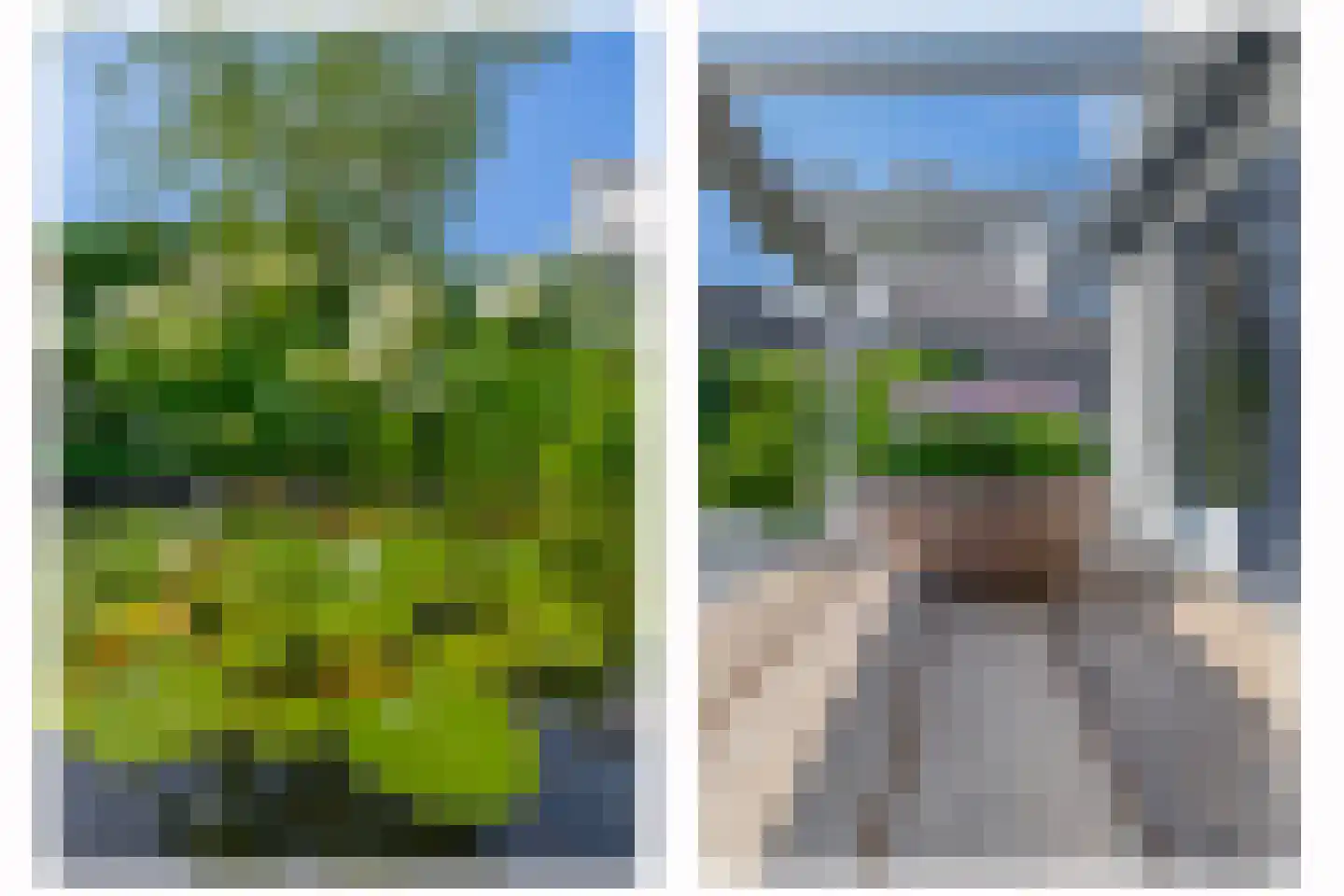 Das 1 Veldhoven thumbnail 42
