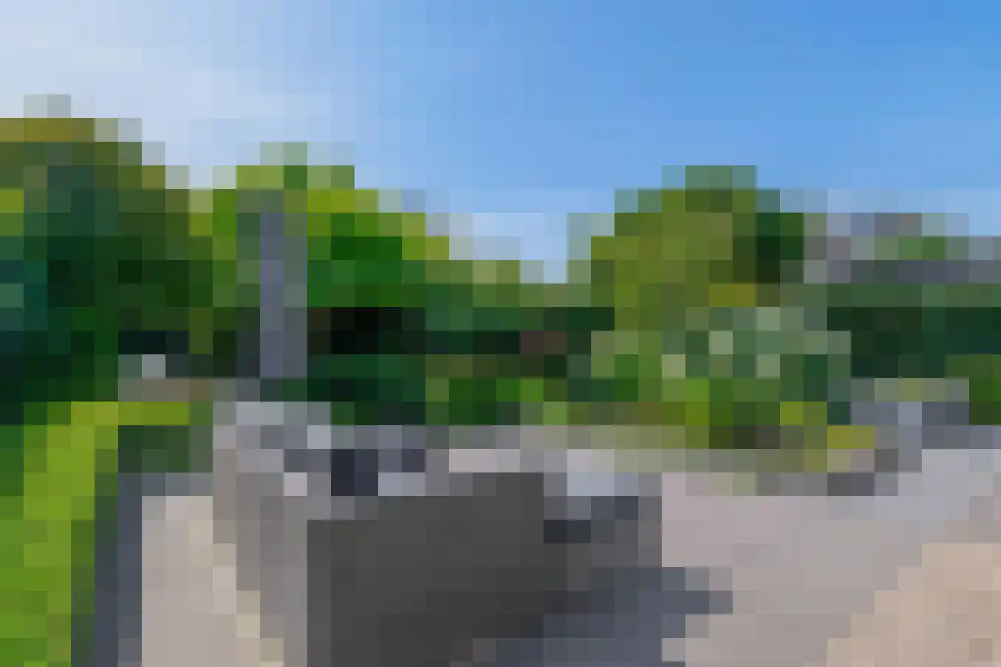 Das 1 Veldhoven thumbnail 5