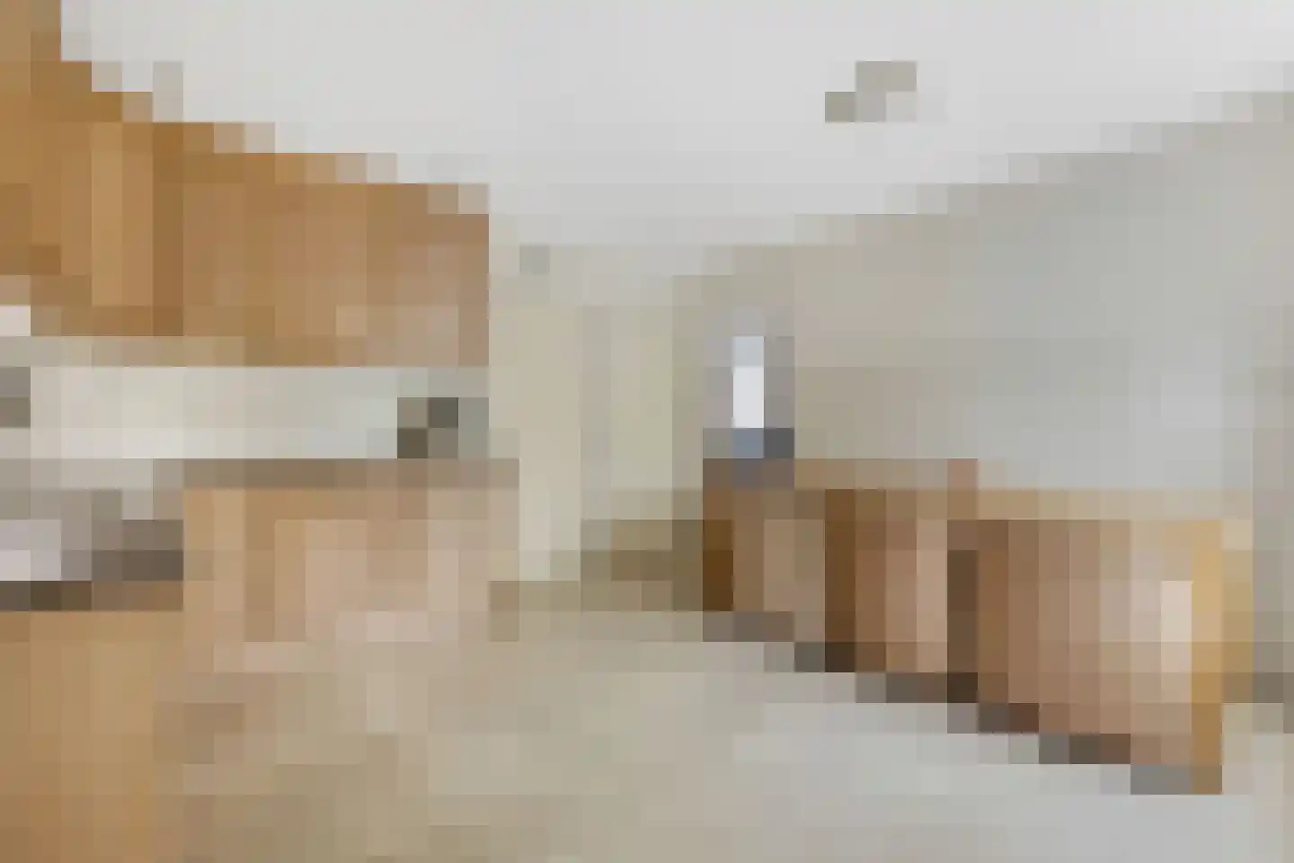 Das 10 Veldhoven thumbnail 10