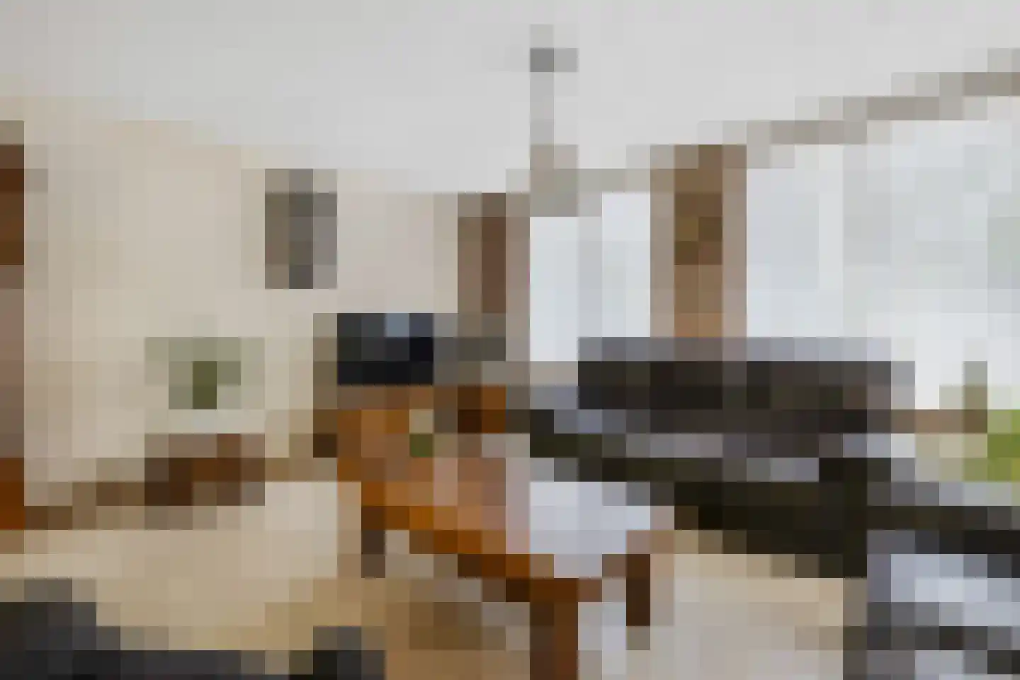 Das 10 Veldhoven thumbnail 16