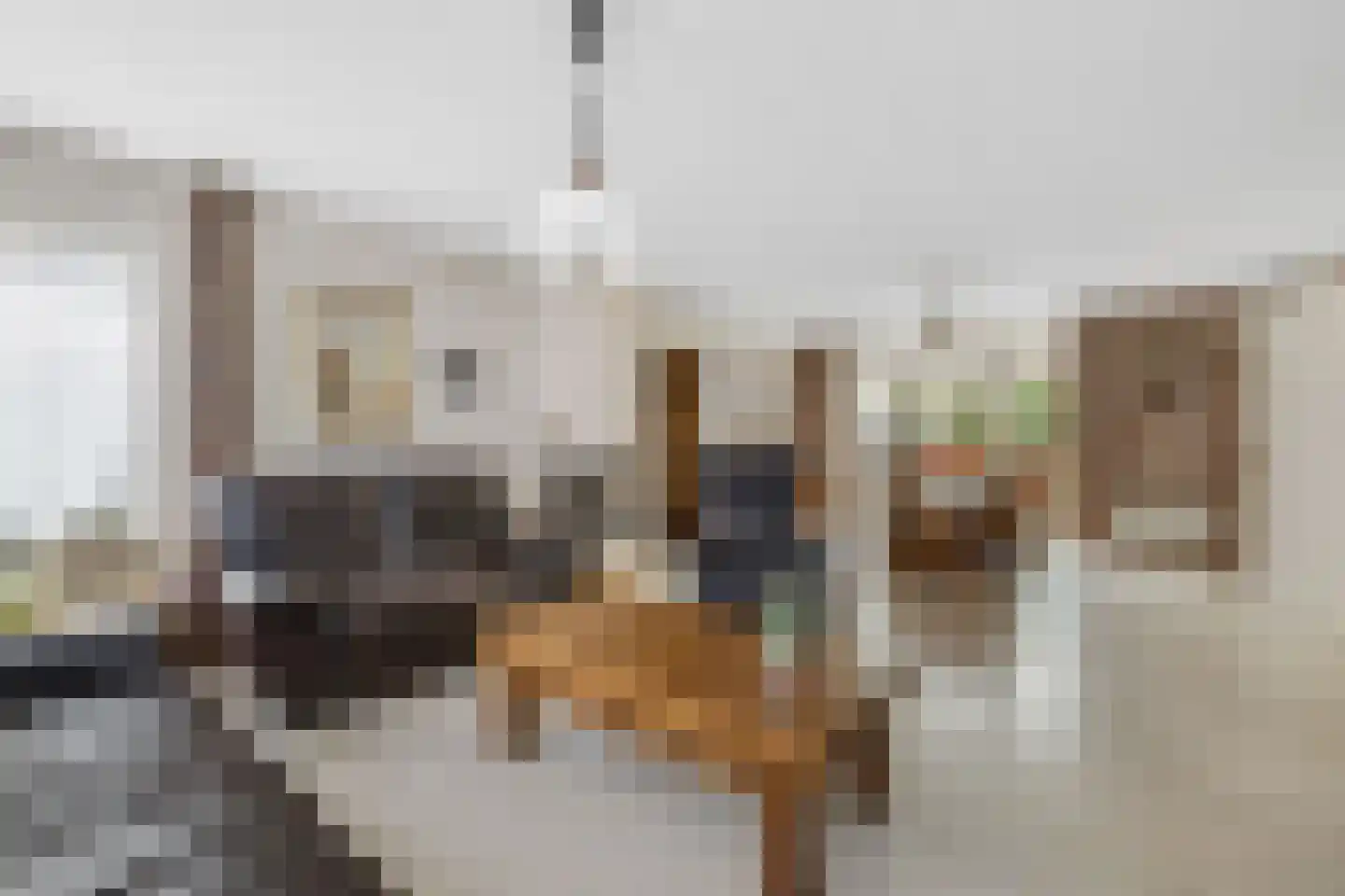 Das 10 Veldhoven thumbnail 17