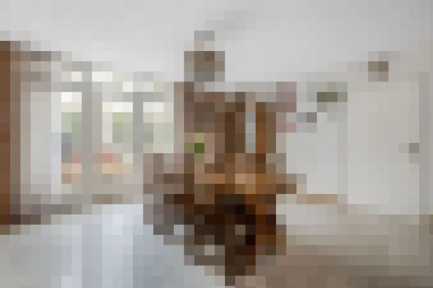 Das 10 Veldhoven thumbnail 19