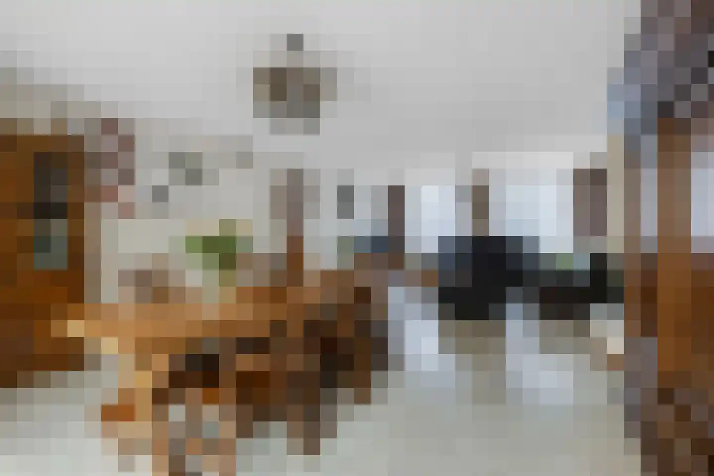 Das 10 Veldhoven thumbnail 20