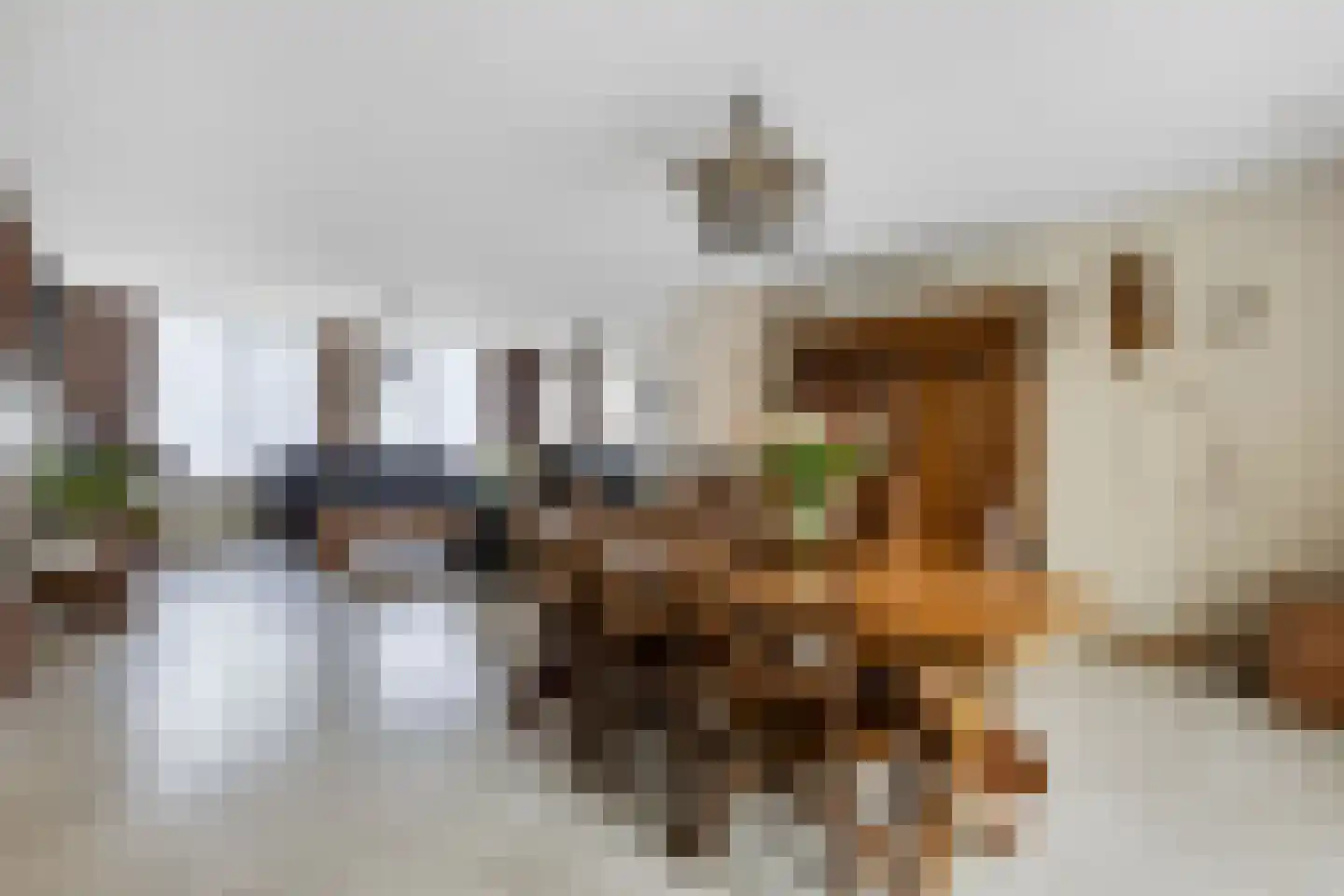 Das 10 Veldhoven thumbnail 21