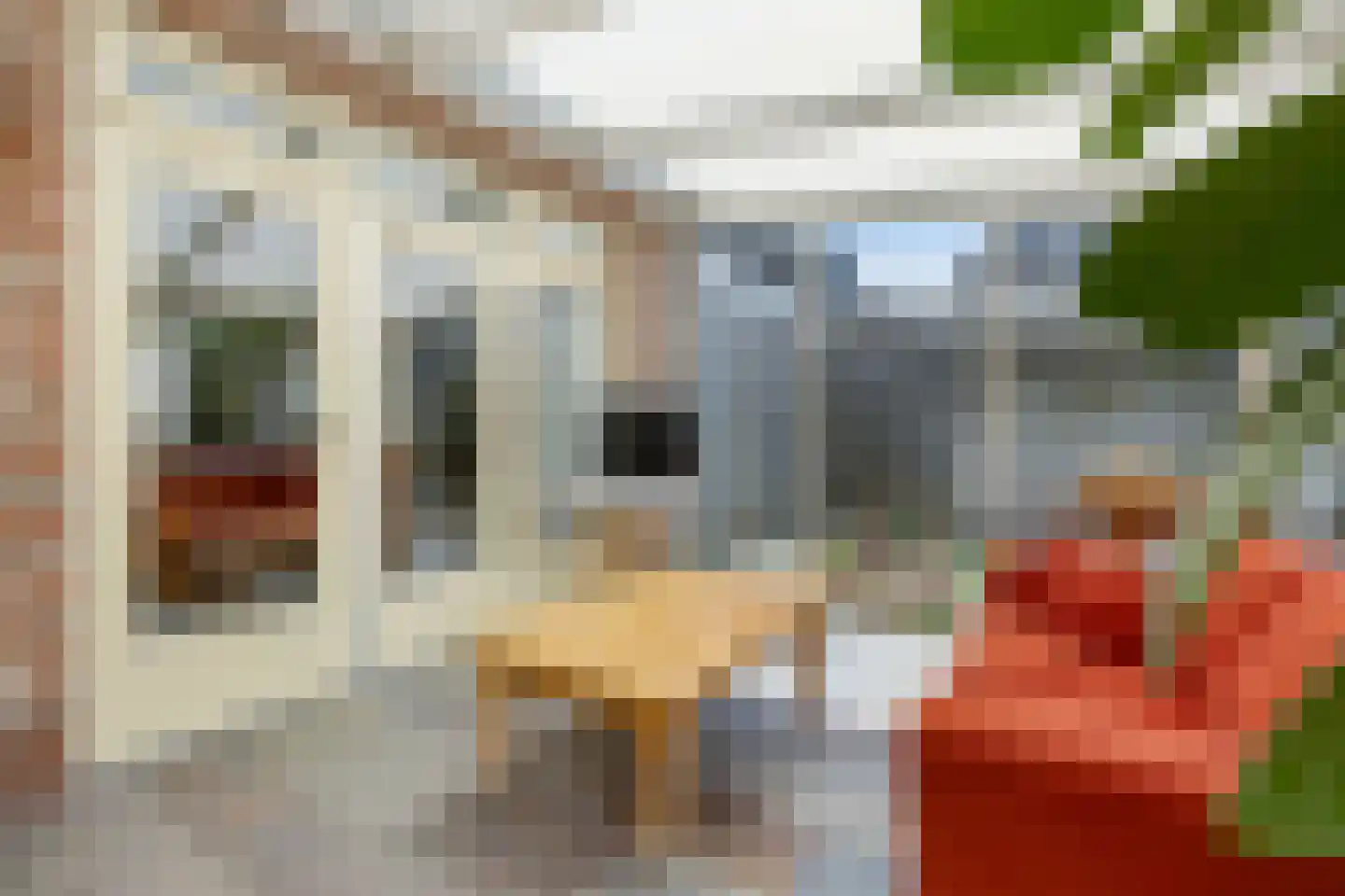 Das 10 Veldhoven thumbnail 23