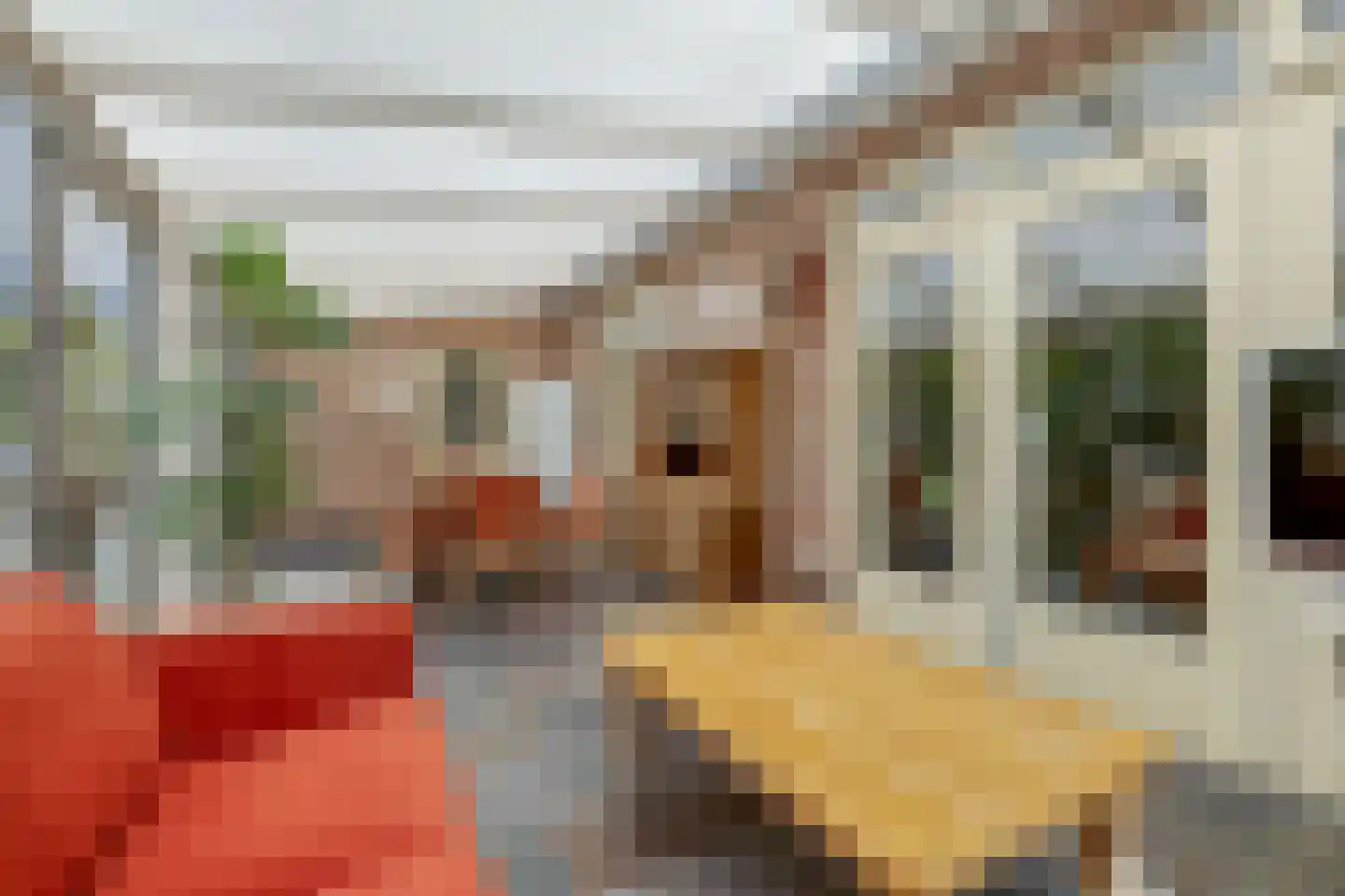 Das 10 Veldhoven thumbnail 24
