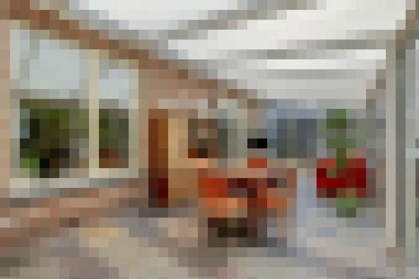 Das 10 Veldhoven thumbnail 25
