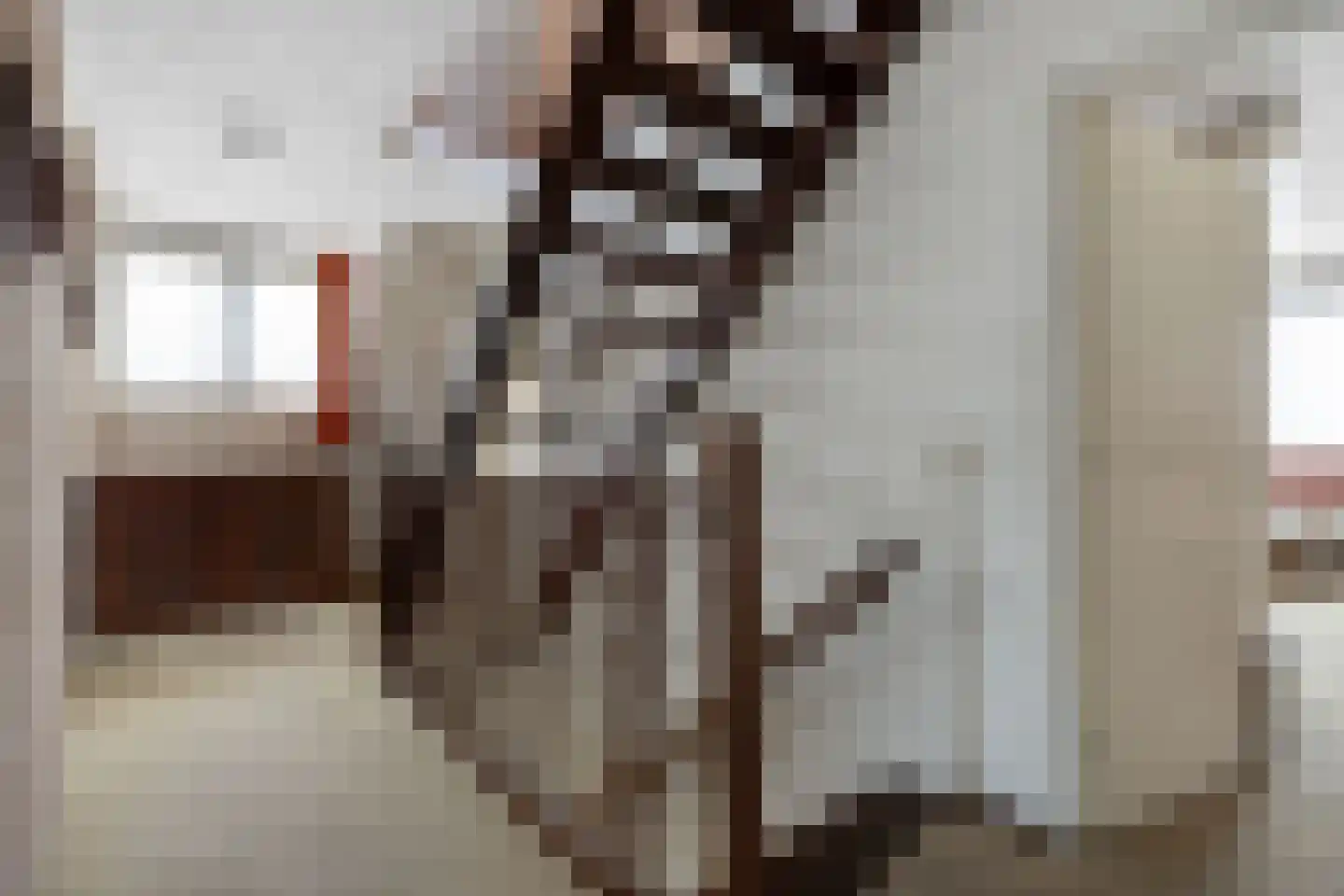 Das 10 Veldhoven thumbnail 29