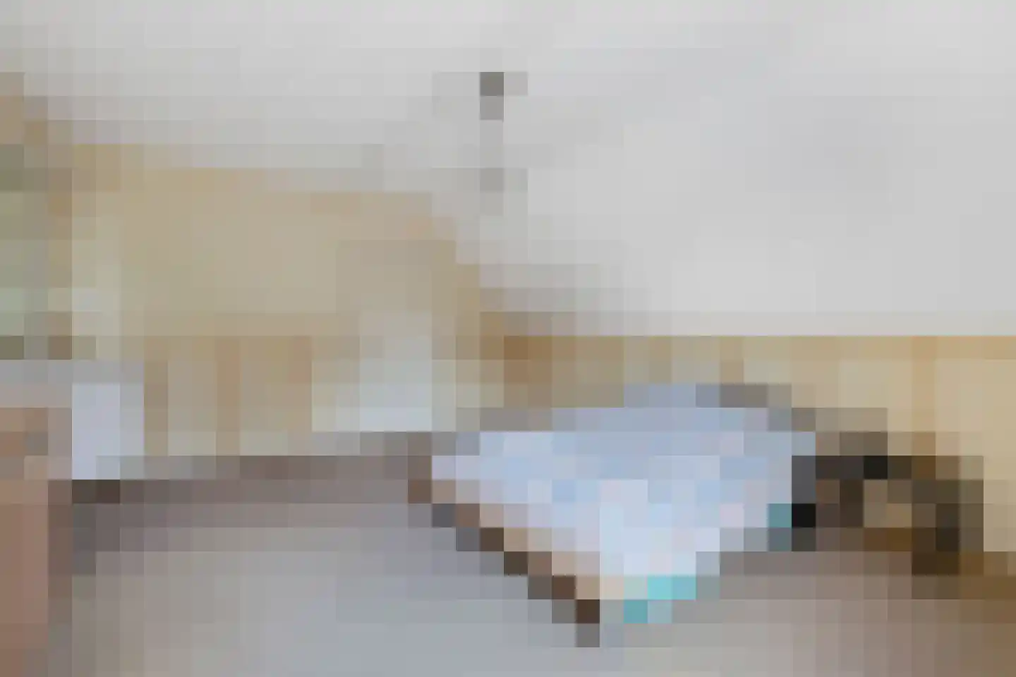 Das 10 Veldhoven thumbnail 34