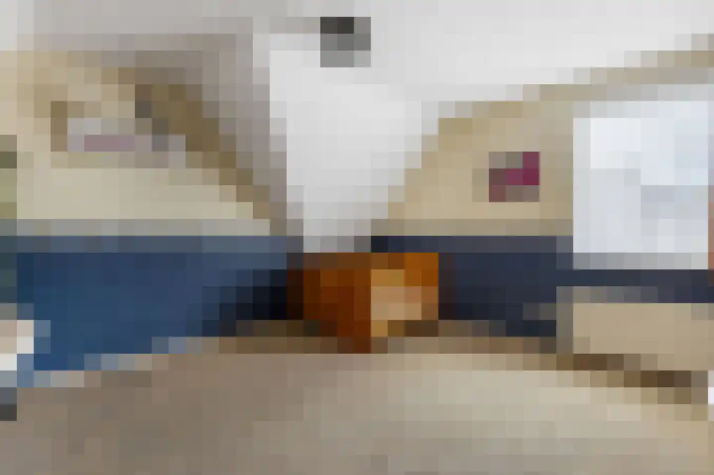 Das 10 Veldhoven thumbnail 36