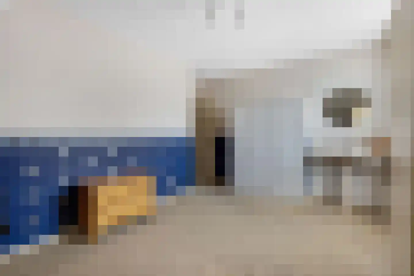 Das 10 Veldhoven thumbnail 39