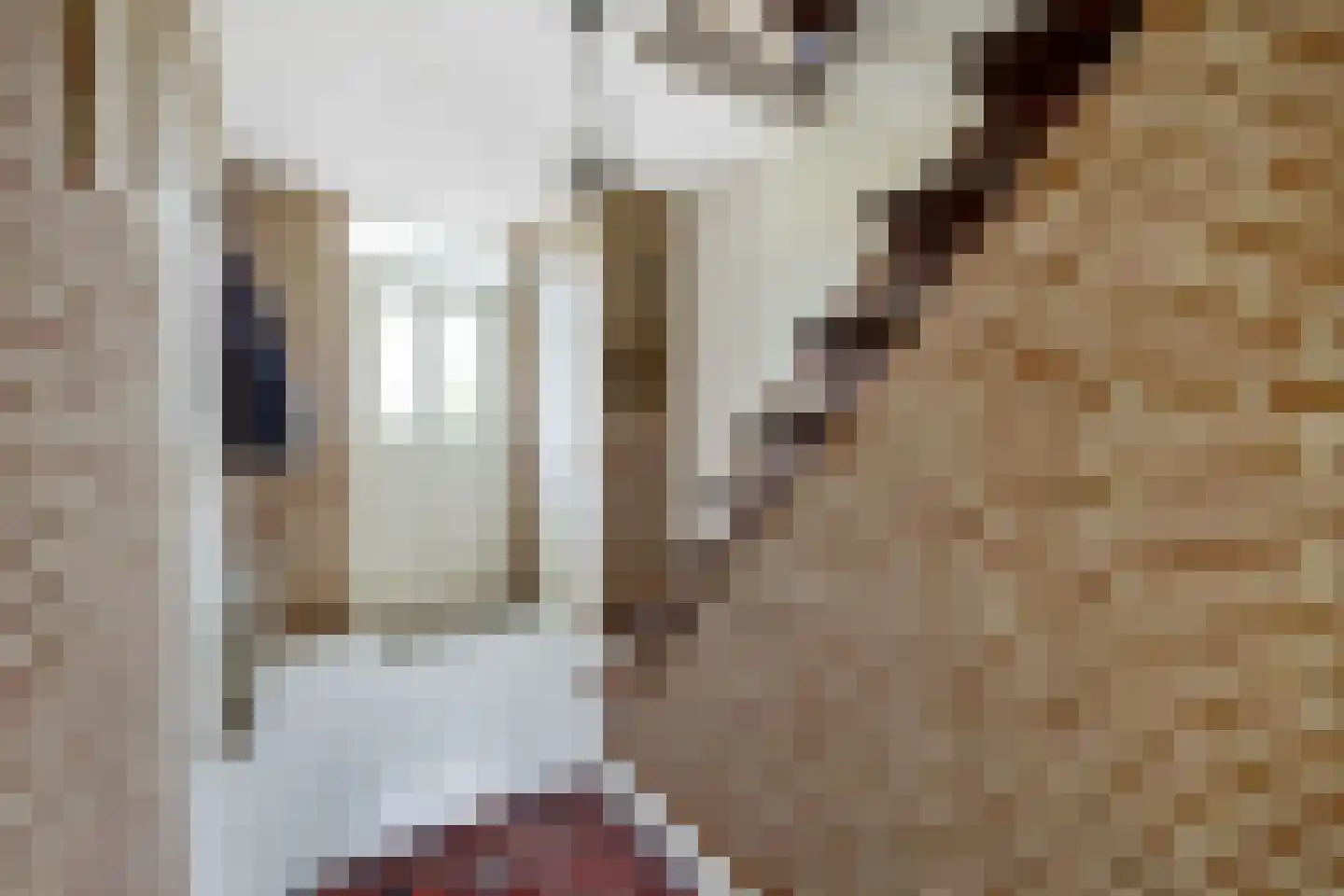 Das 10 Veldhoven thumbnail 5