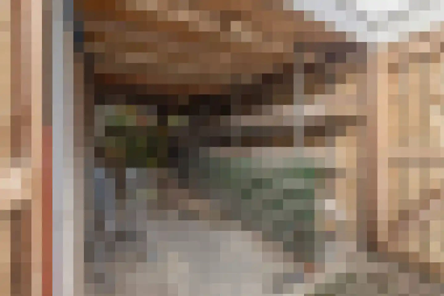 Das 10 Veldhoven thumbnail 55