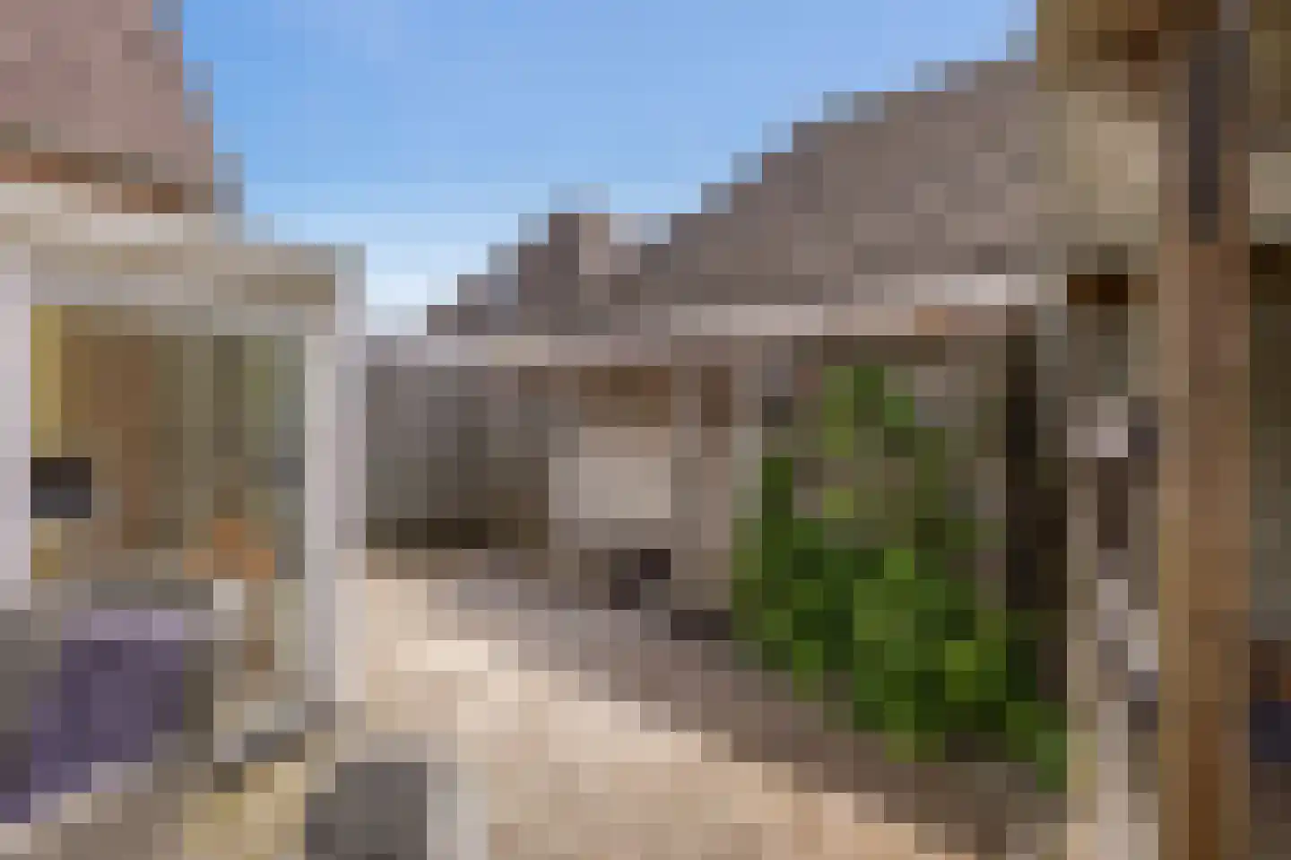 Das 10 Veldhoven thumbnail 64