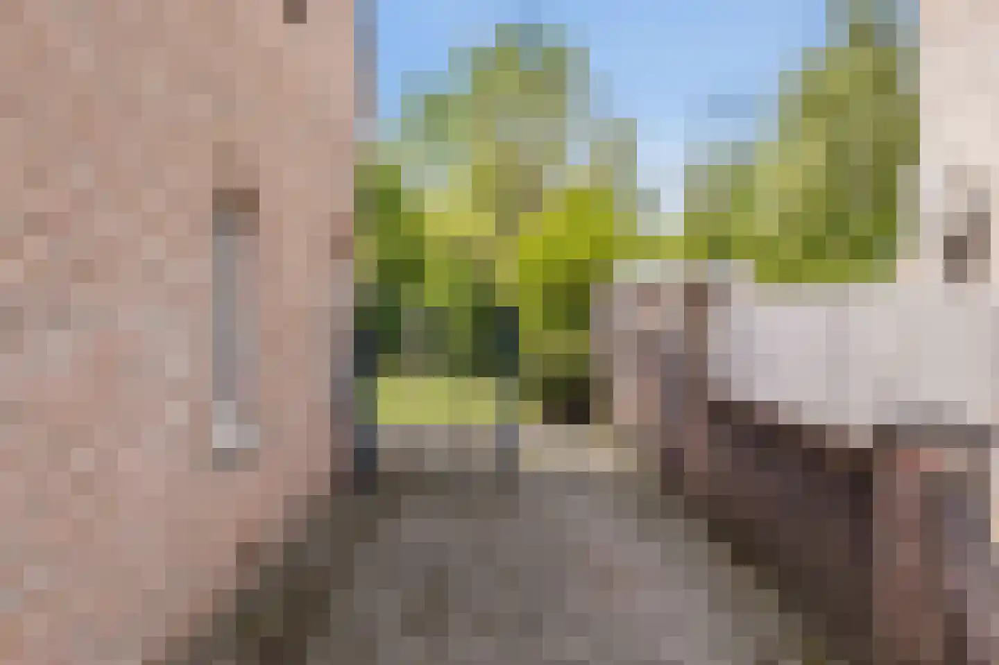 Das 10 Veldhoven thumbnail 67