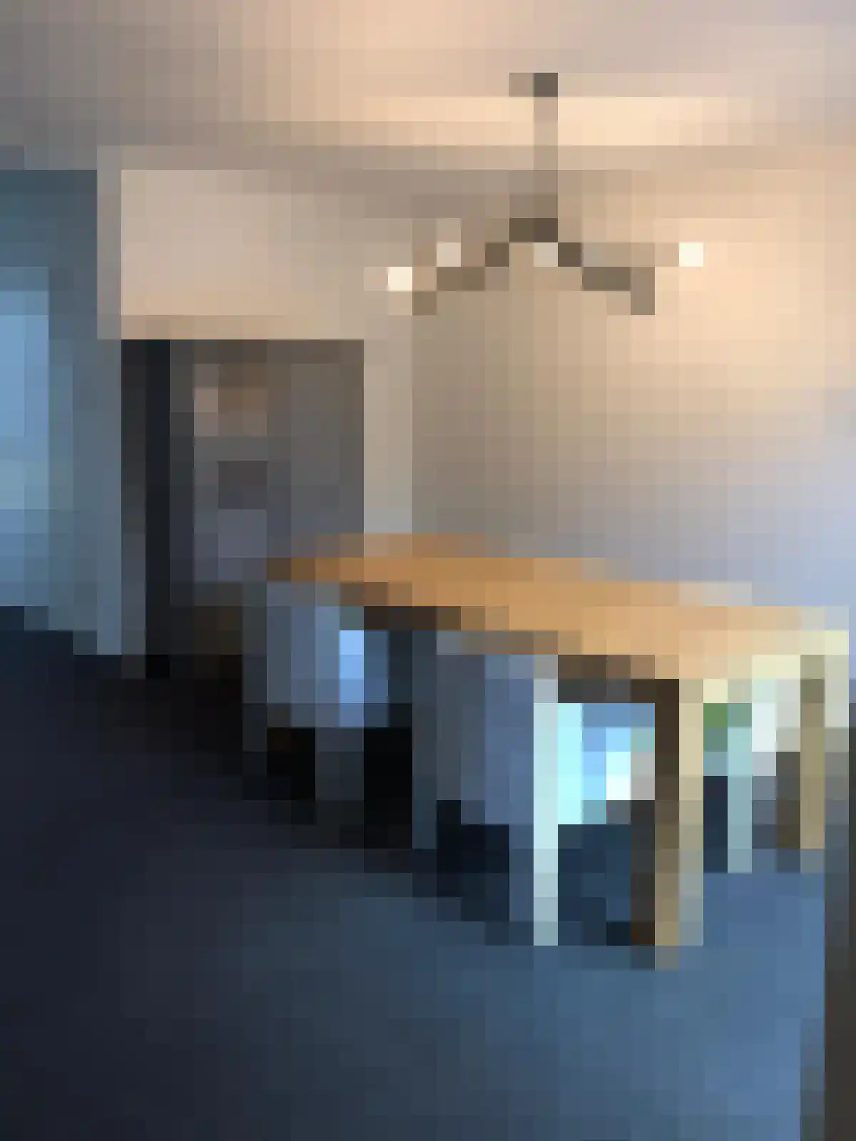 Das 2 Veldhoven foto 3