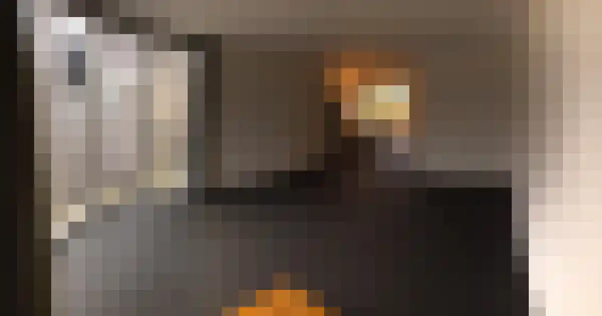 Das 2 Veldhoven thumbnail 4