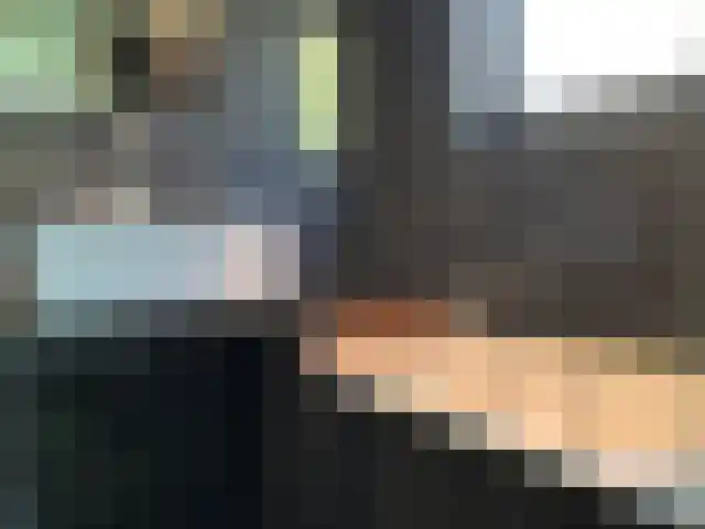 Das 2 Veldhoven thumbnail 4