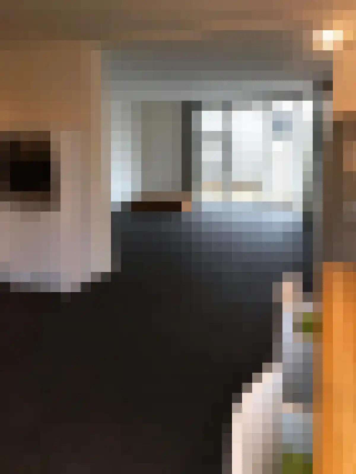 Das 2 Veldhoven thumbnail 5
